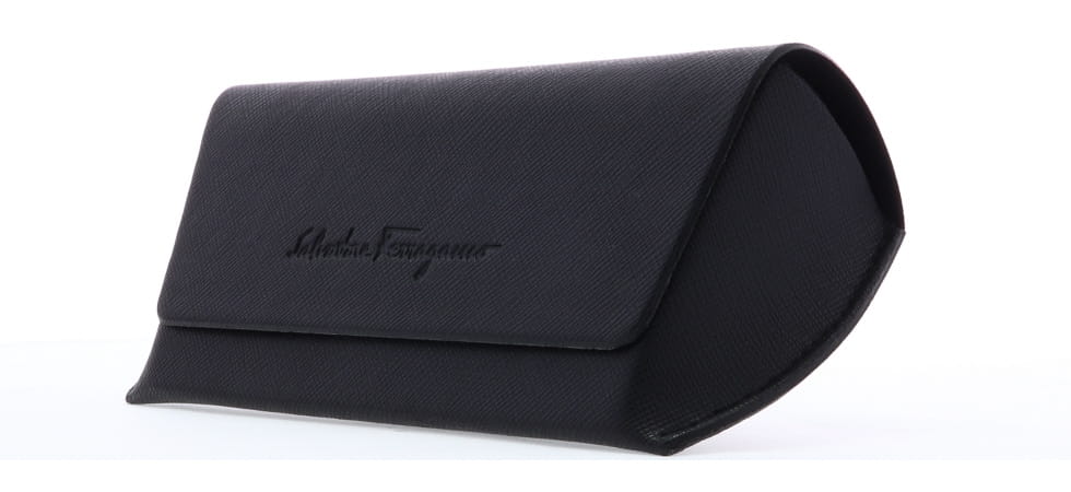 Ferragamo eyeglass case best sale